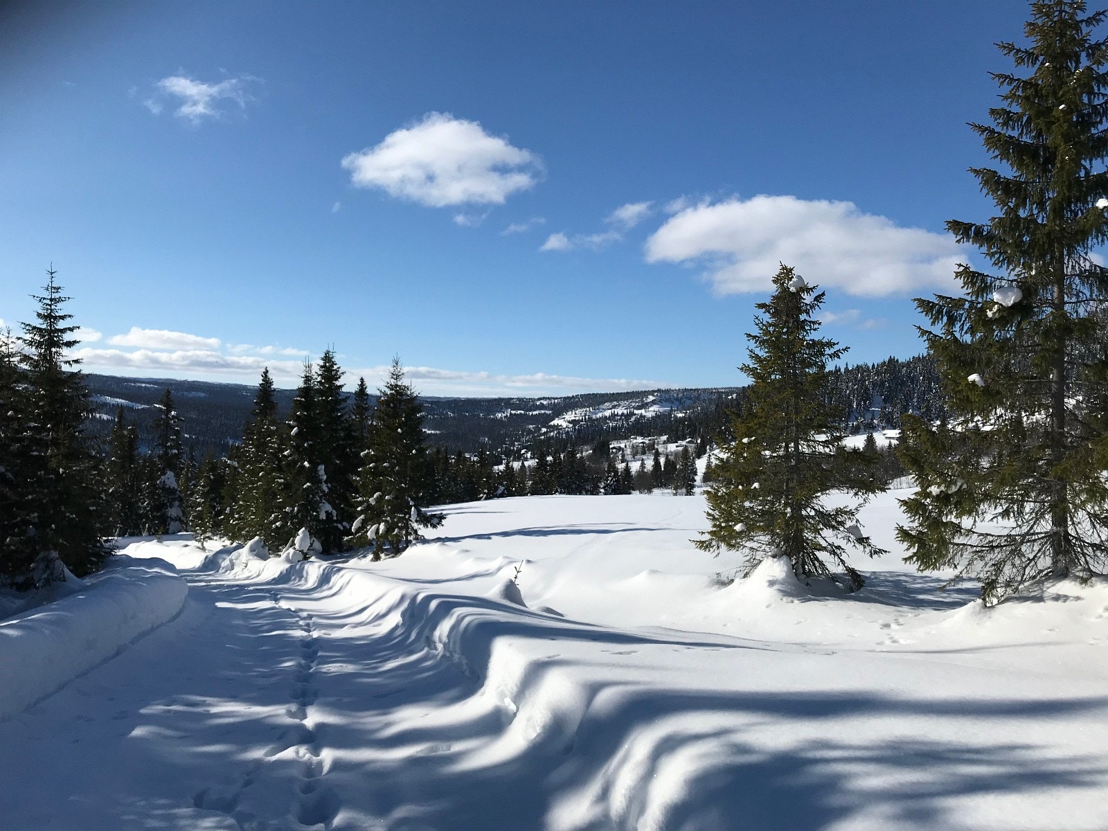 16 mars kl 1400 ovenfor tomtene Galleribilde