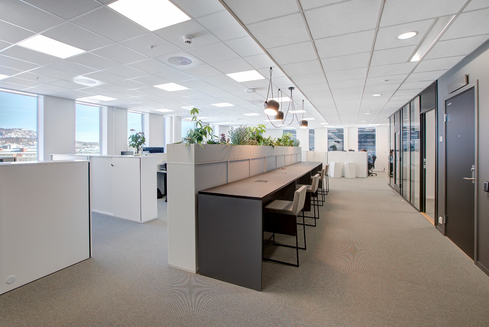 Lyse lokaler Galleribilde