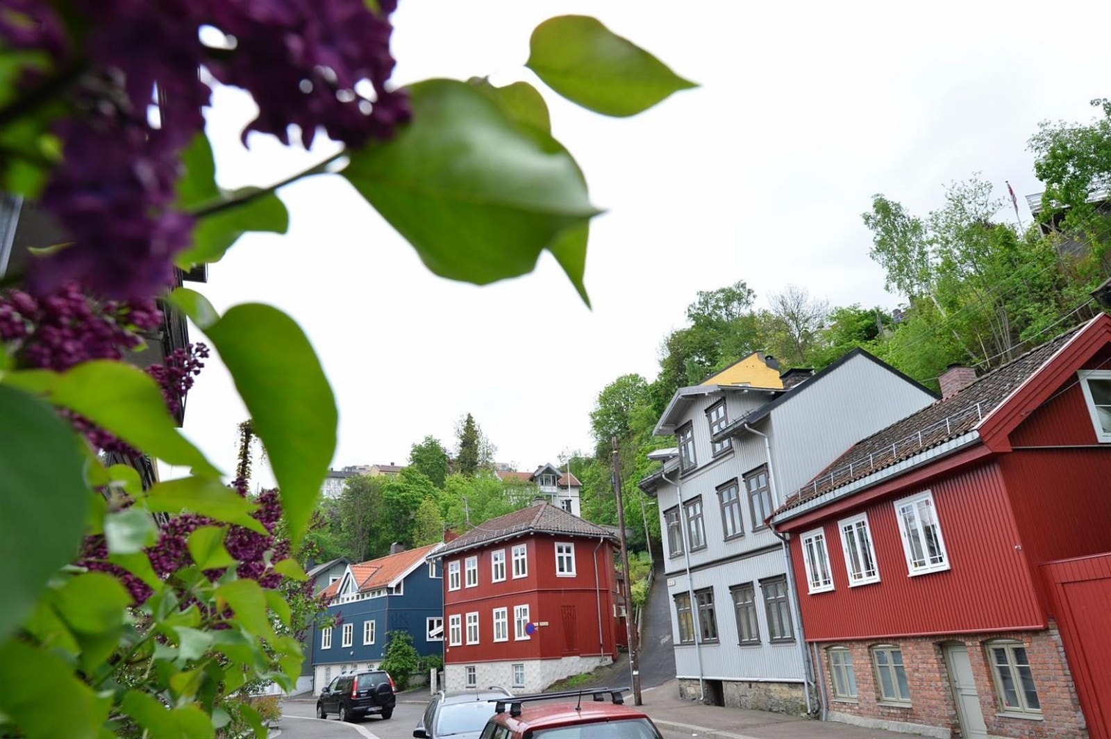 Hyggelig nabolag Galleribilde
