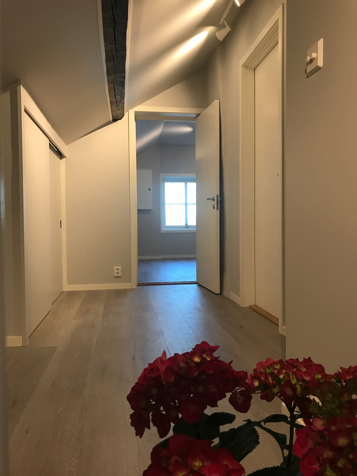 Gang oppe Galleribilde