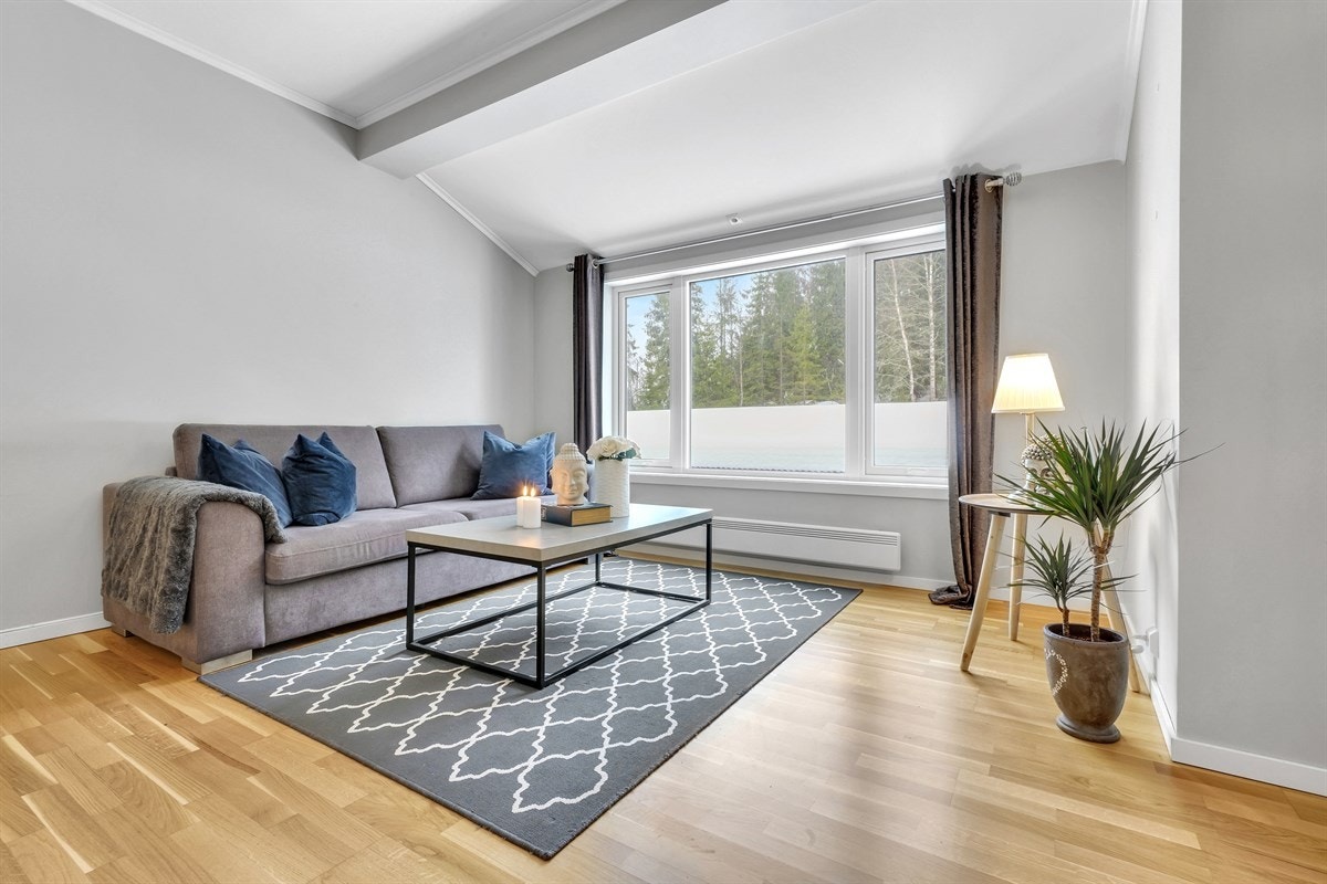 - STORE VINDUSFLATER LANGS SYDVEGGEN - Galleribilde