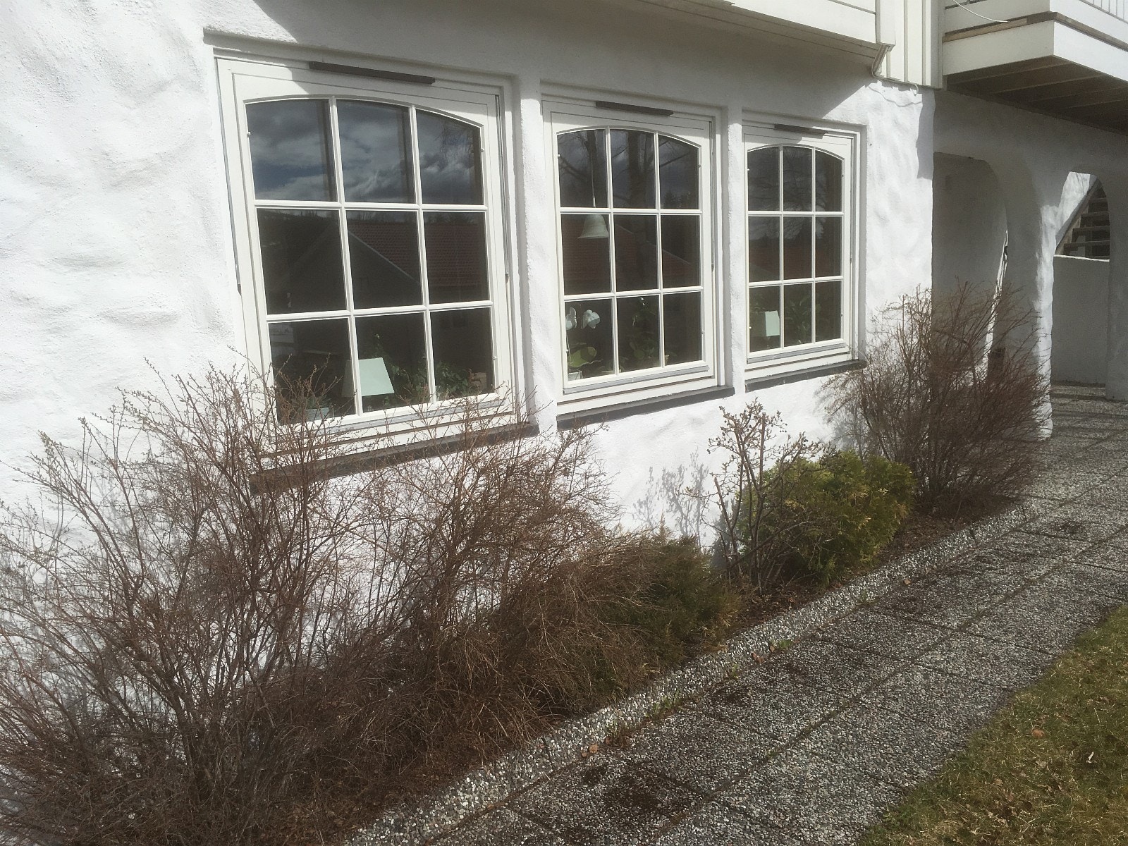 Stuevinduer med godt dagslys Galleribilde