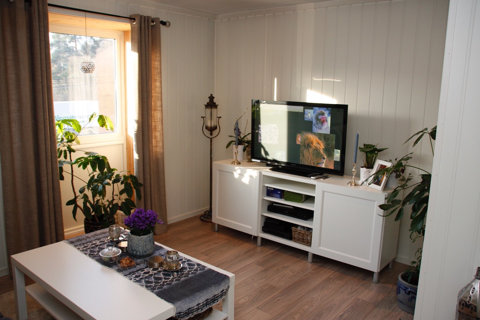 Stue Galleribilde