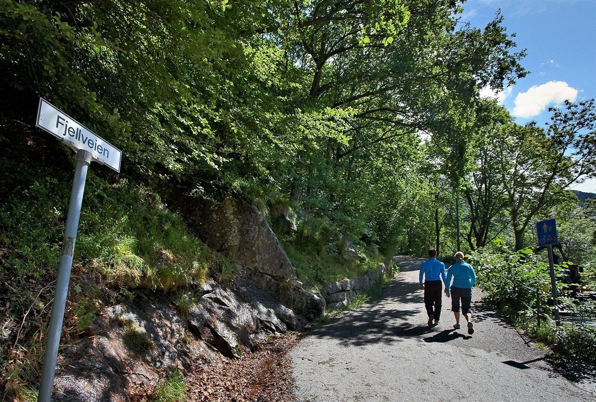 Fjellveien Galleribilde