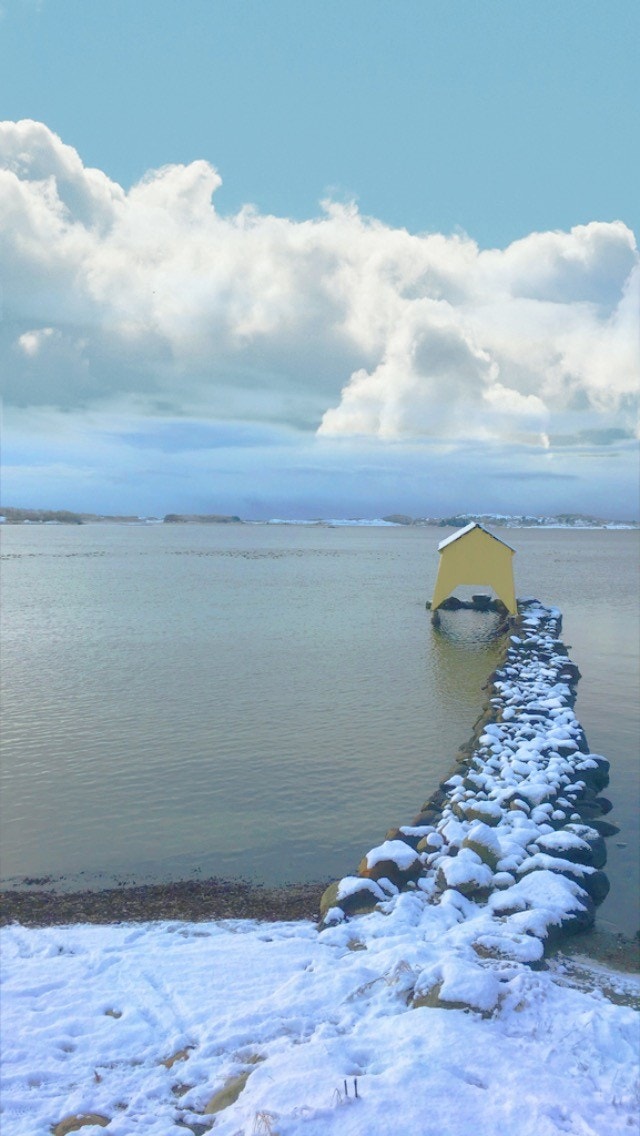 Hafrsfjord Galleribilde