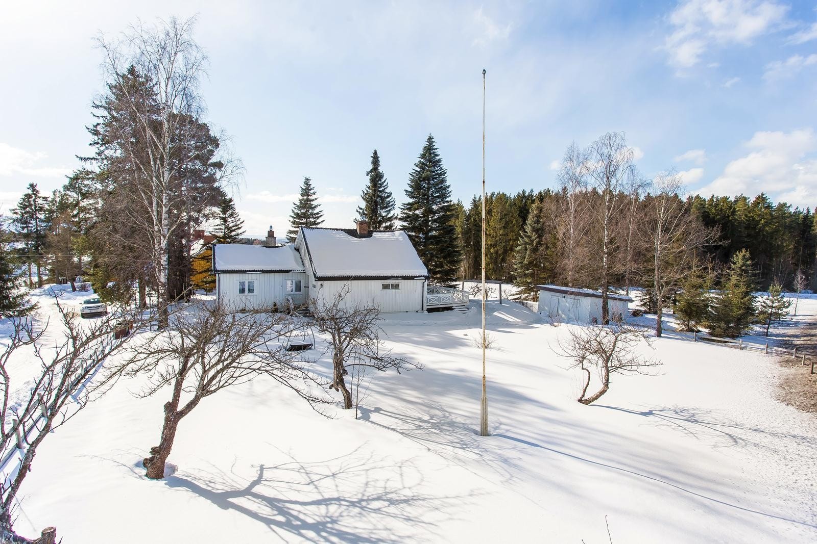 Tomten har gode solforhold. Galleribilde