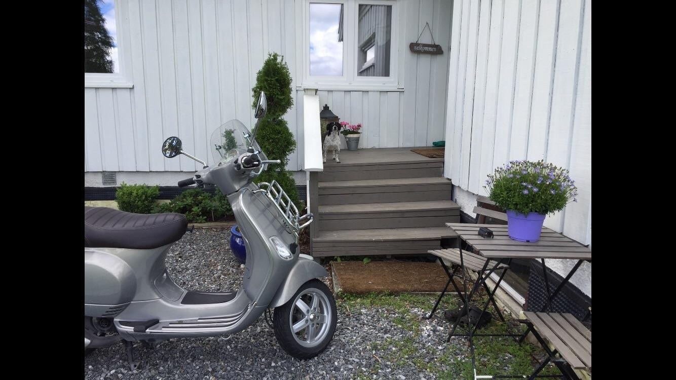 Selgers sommerbilde Galleribilde