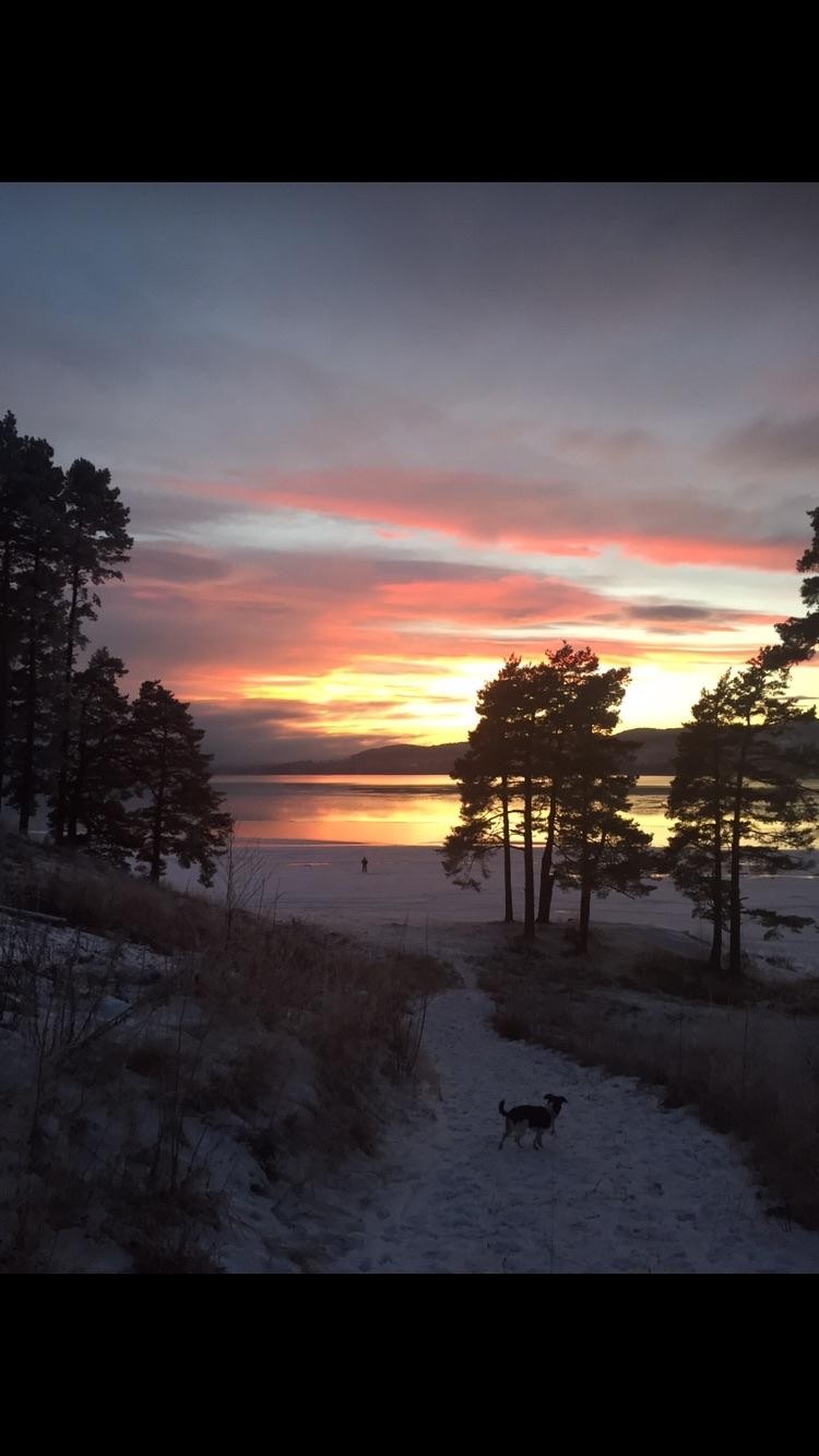 Selgers bilde fra Røssholmstranda som ligger rett i nærheten. Galleribilde