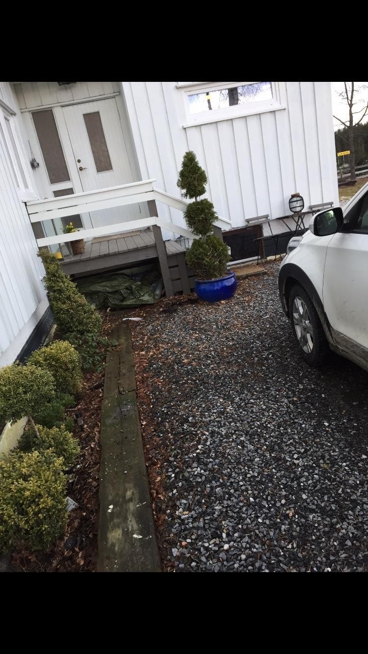 Selgers sommerbilde Galleribilde