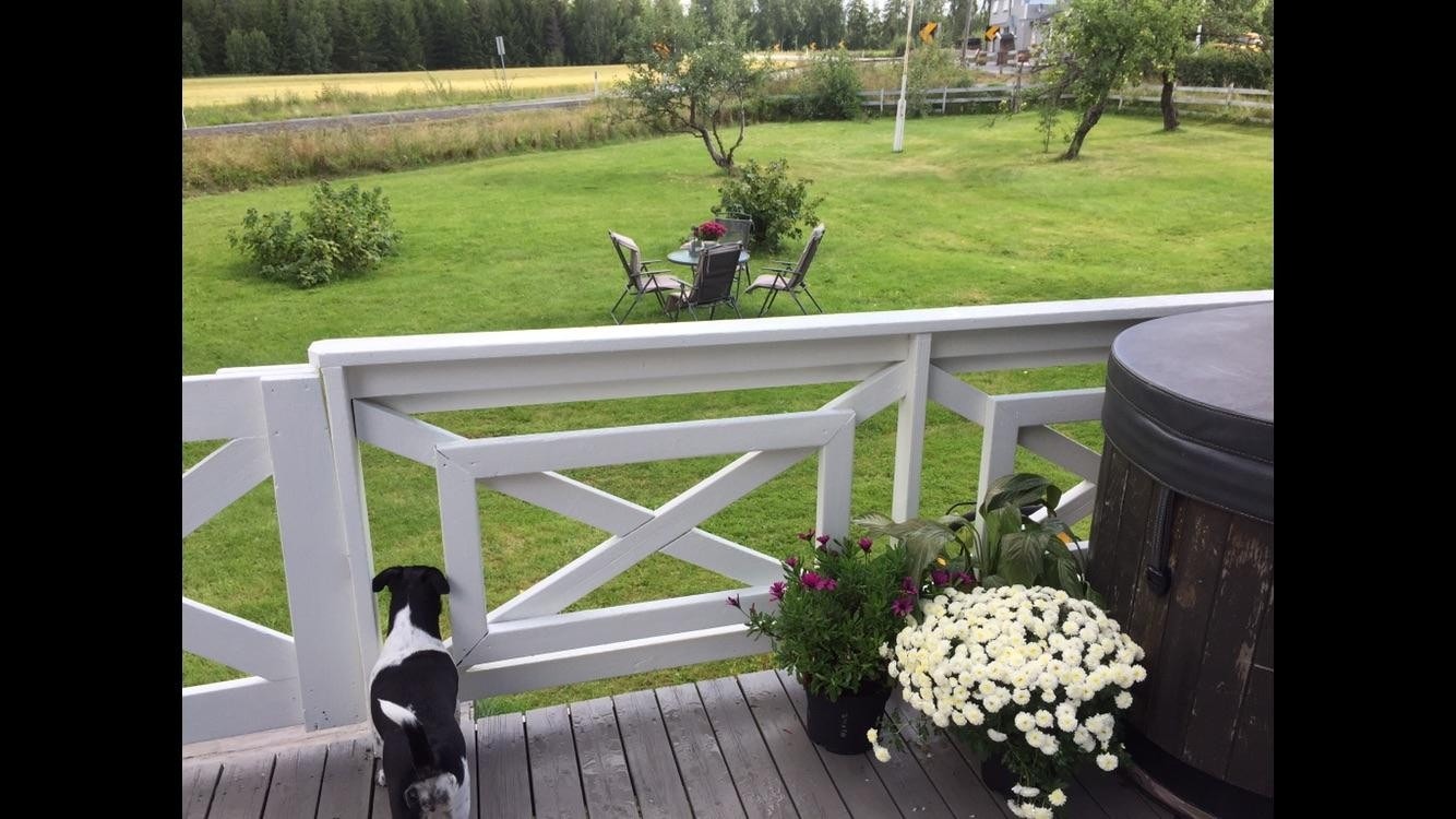 Selgers sommerbilde Galleribilde