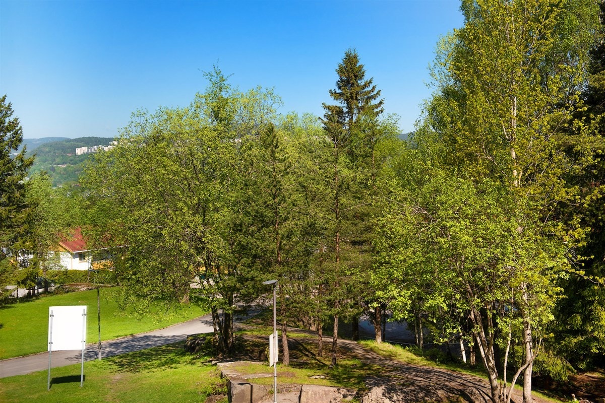 03utsikt Galleribilde