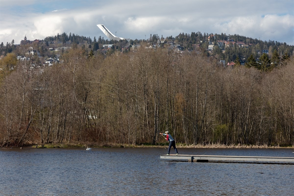 Holmendammen Galleribilde