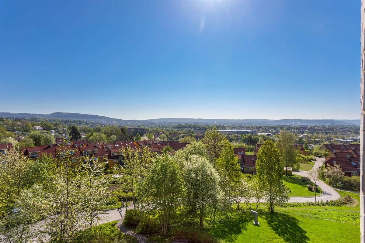 05utsikt Galleribilde