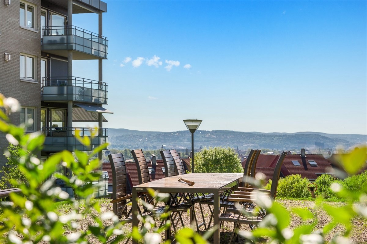 11uteomrade Galleribilde