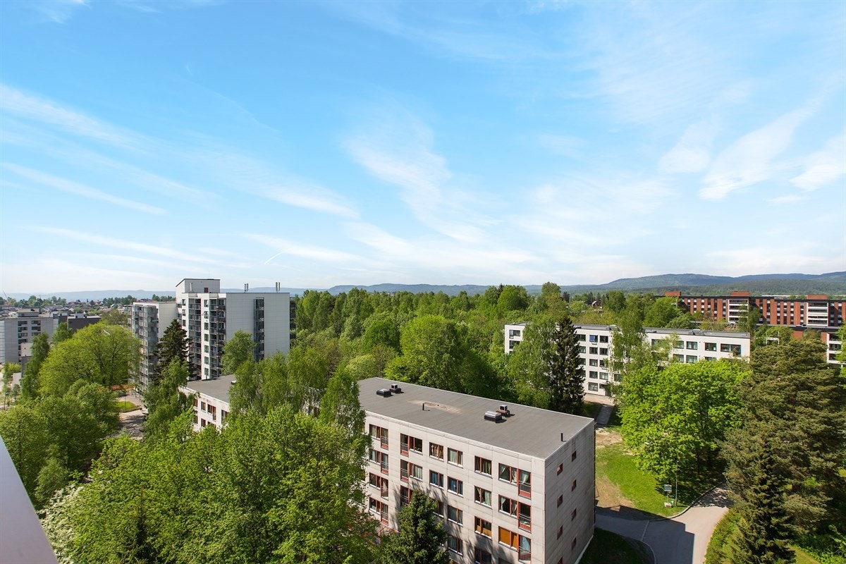 Utsikten strekker seg fra Voksenåsen i nord via toppene i Bærumsmarka i vest til de fjerne åsene i Vestmarka i sydvest. Galleribilde