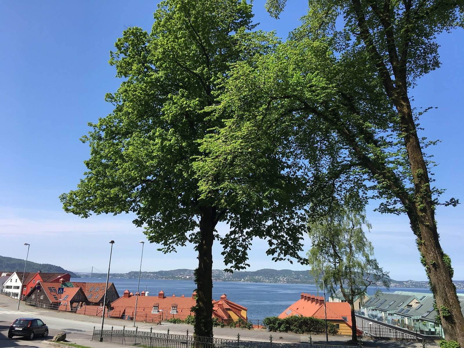 Sjøen rett nedenfor med offentlig brygge Galleribilde