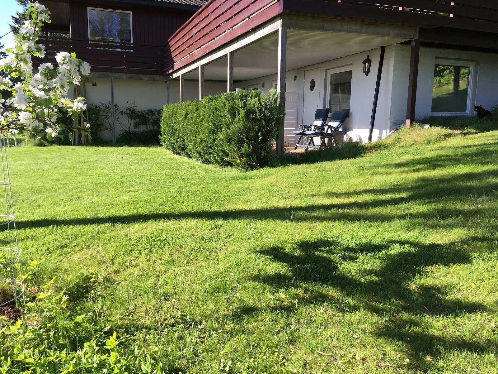 enebolig på stor, naturtomt med flott utsikt Galleribilde