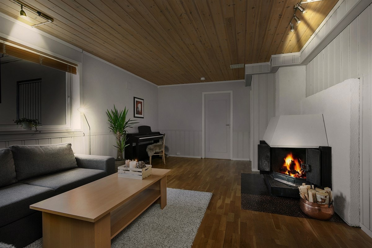 Stor peis med innsats. Galleribilde