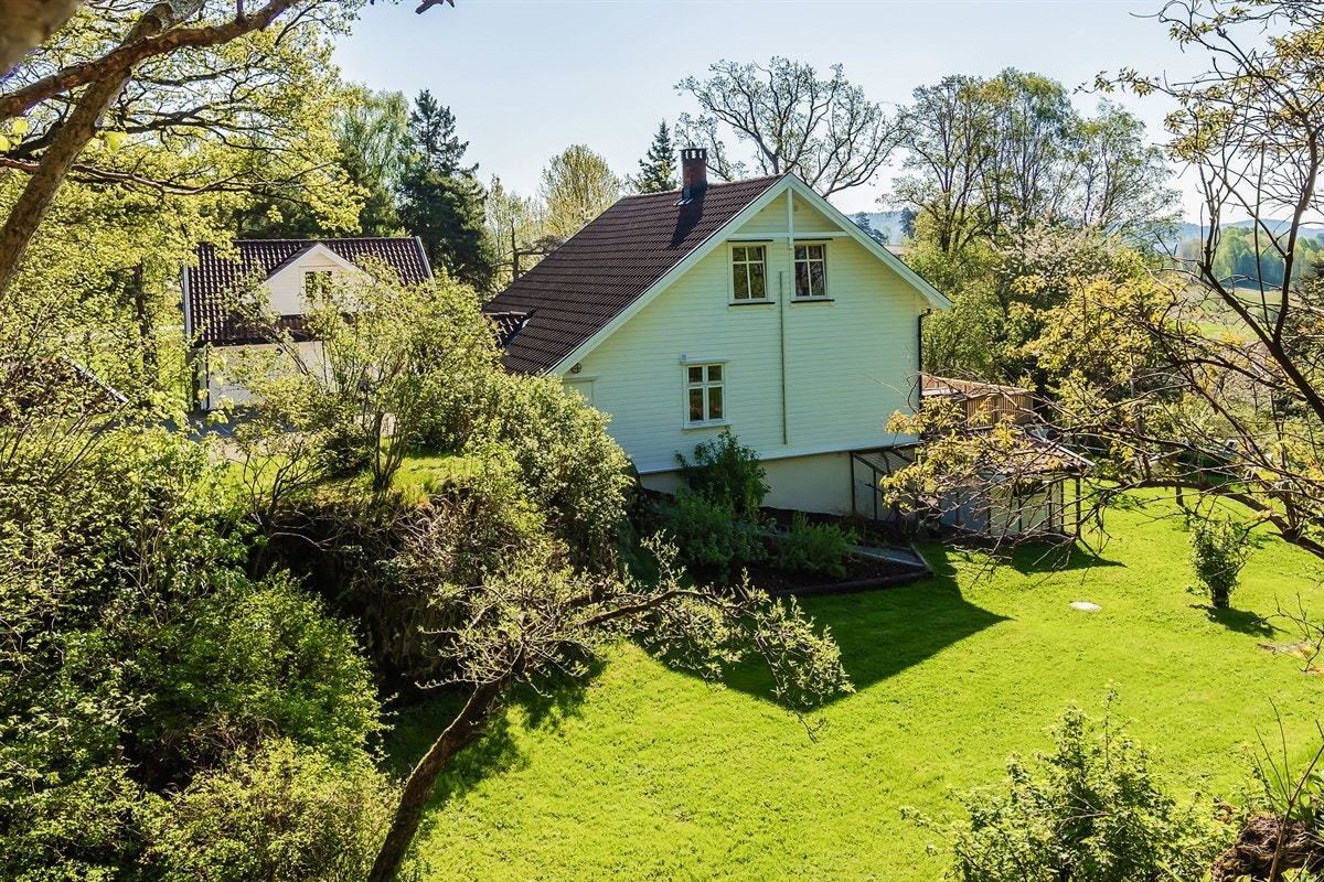 Tomten er dels opparbeidet og beplantet med plen, bukser og trær- dels naturtomt Galleribilde