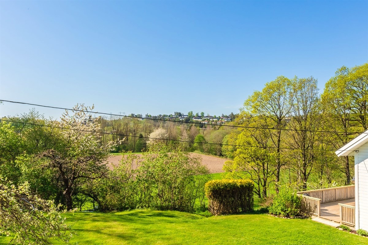 Deler av utsikten fra hagen Galleribilde