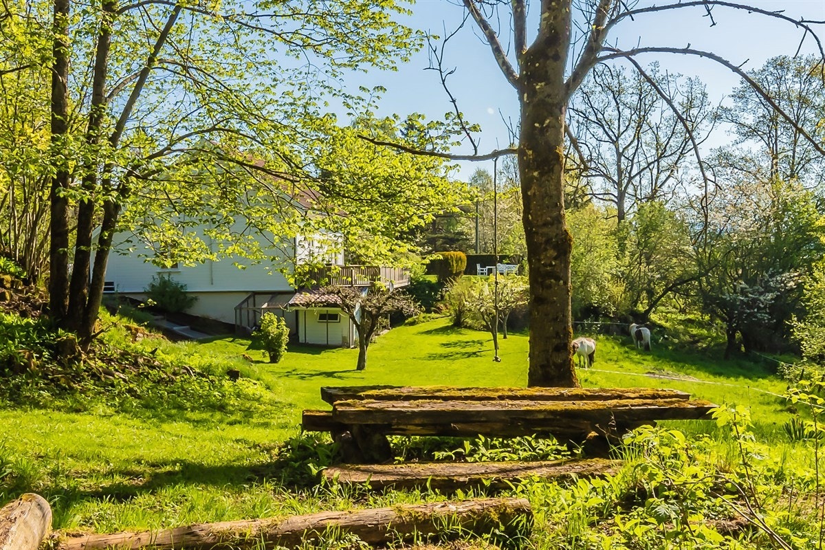 Stor tomt med fine muligheter for å ha dyr Galleribilde