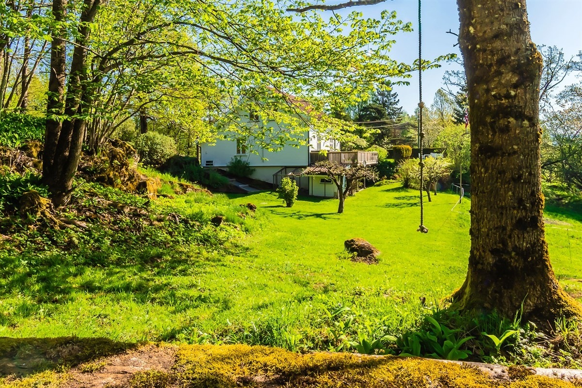 Fra hagen Galleribilde