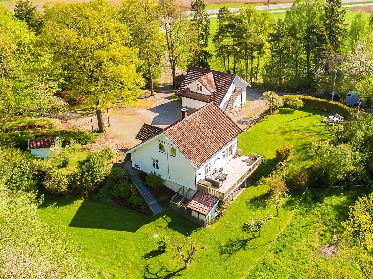 Fra oven - deler av stor tomt på ca 4,1 mål Galleribilde