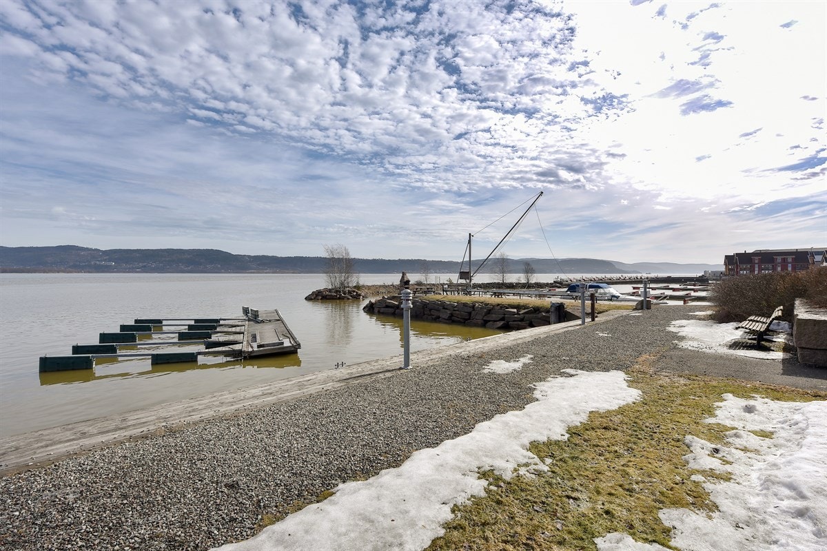Høyskolen i Sørøst-Norge har en av landets mest moderne lokaler på Papirbredden og ligger helt nede ved elva. Her finner du også restauranter, kafeer, rockescene og kulturliv vegg-i-vegg. Galleribilde