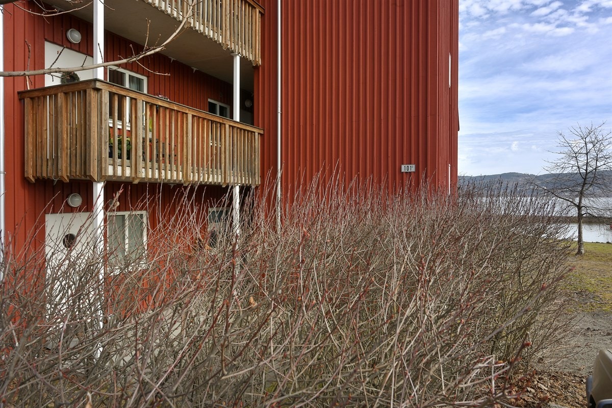 Dagligvarehandelen kan blant annet gjøres på Rema 1000 Tollbugata og Kiwi Åskollen. Galleribilde