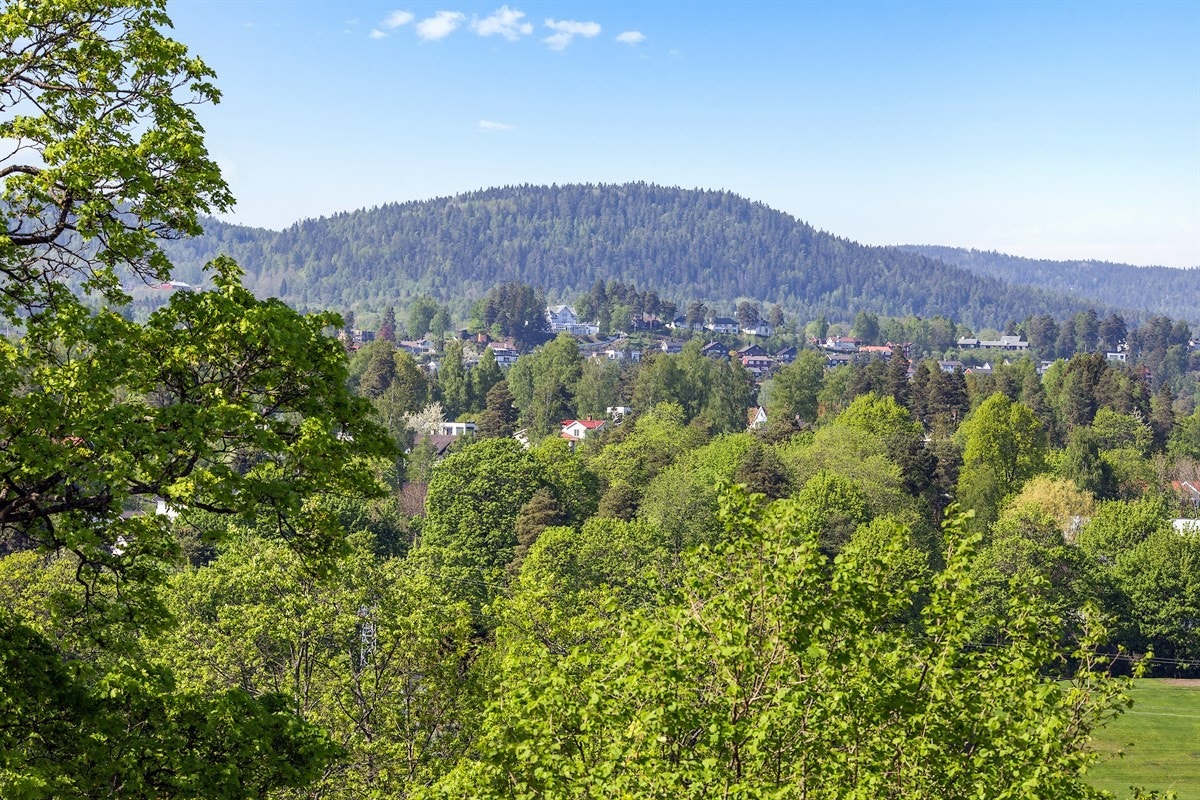 Utsikt. Galleribilde