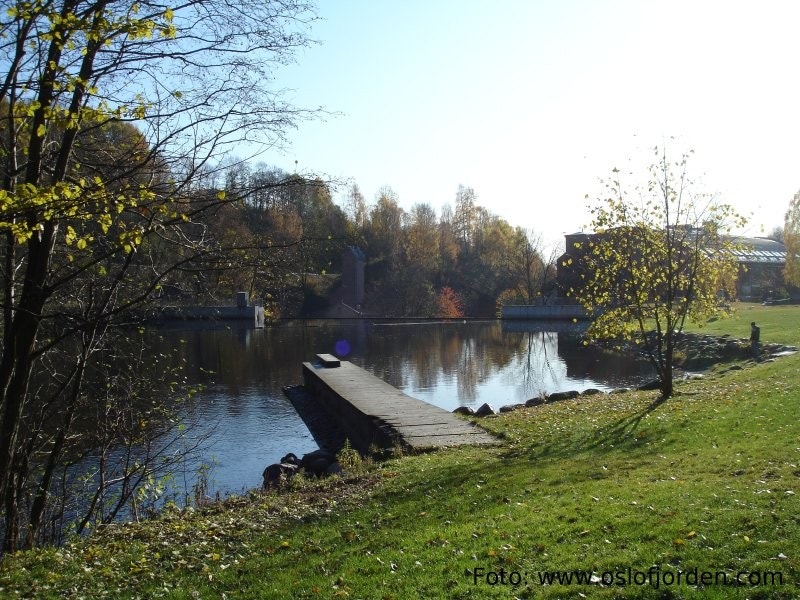 Nærmiljø- Nydalsdammen Galleribilde
