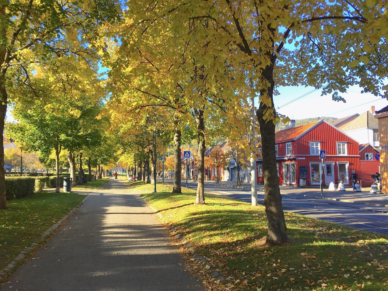 Høstbilde. Galleribilde