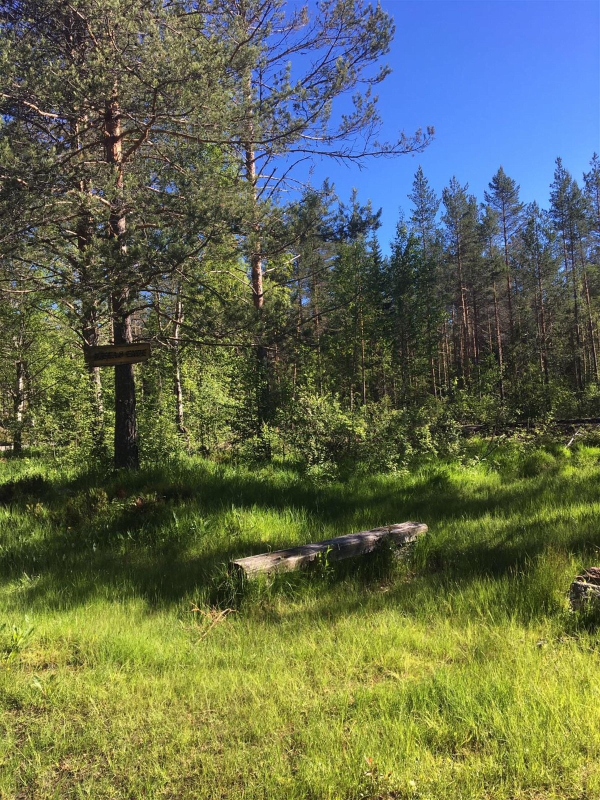 Flotte turmuligheter! Galleribilde