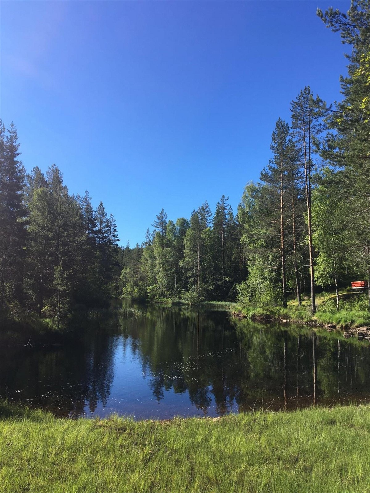 Koselige omgivelser! Galleribilde