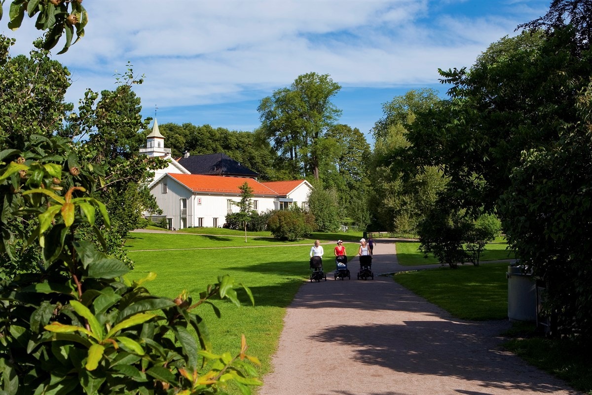 Frognerparken Galleribilde