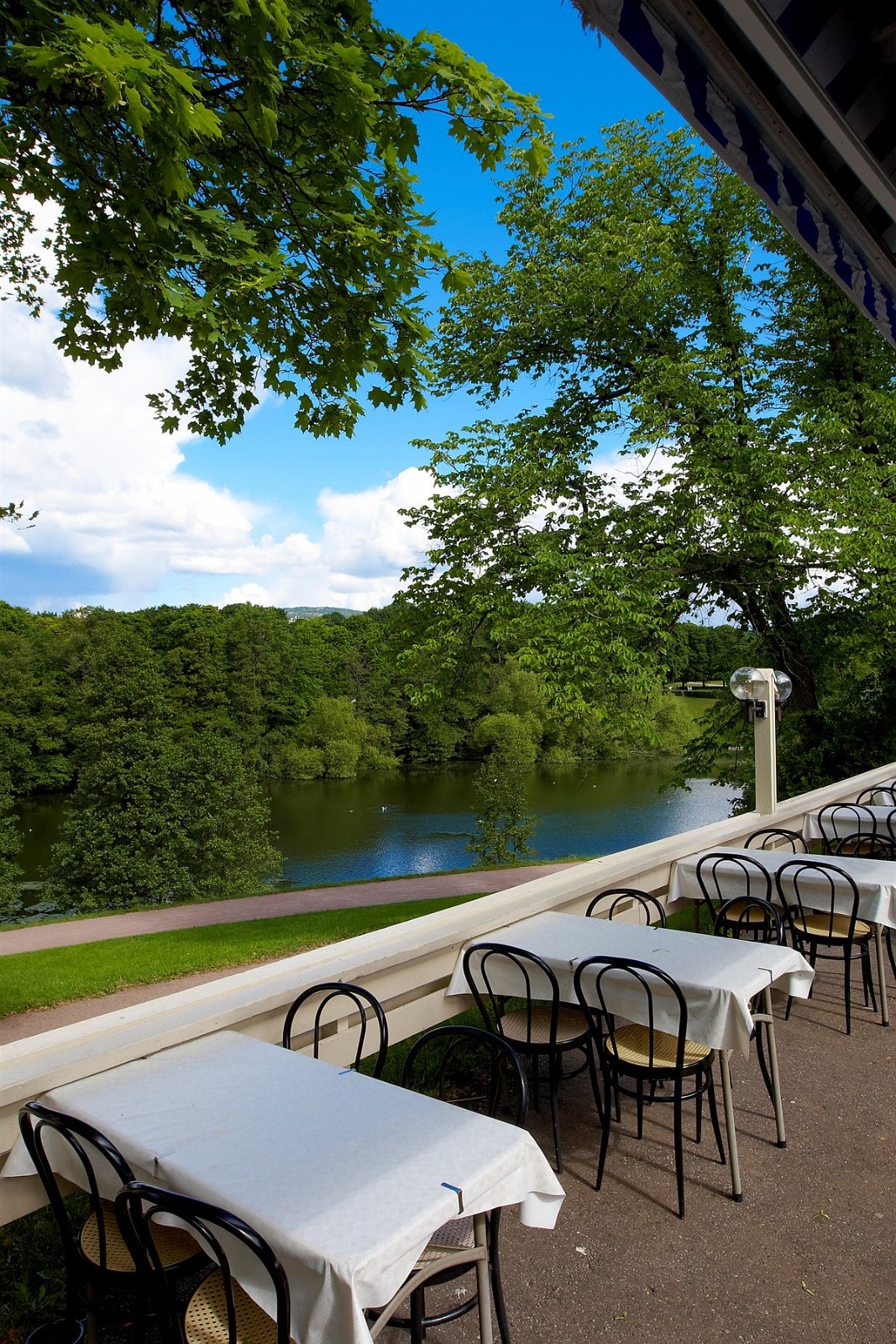 Frognerparken Galleribilde