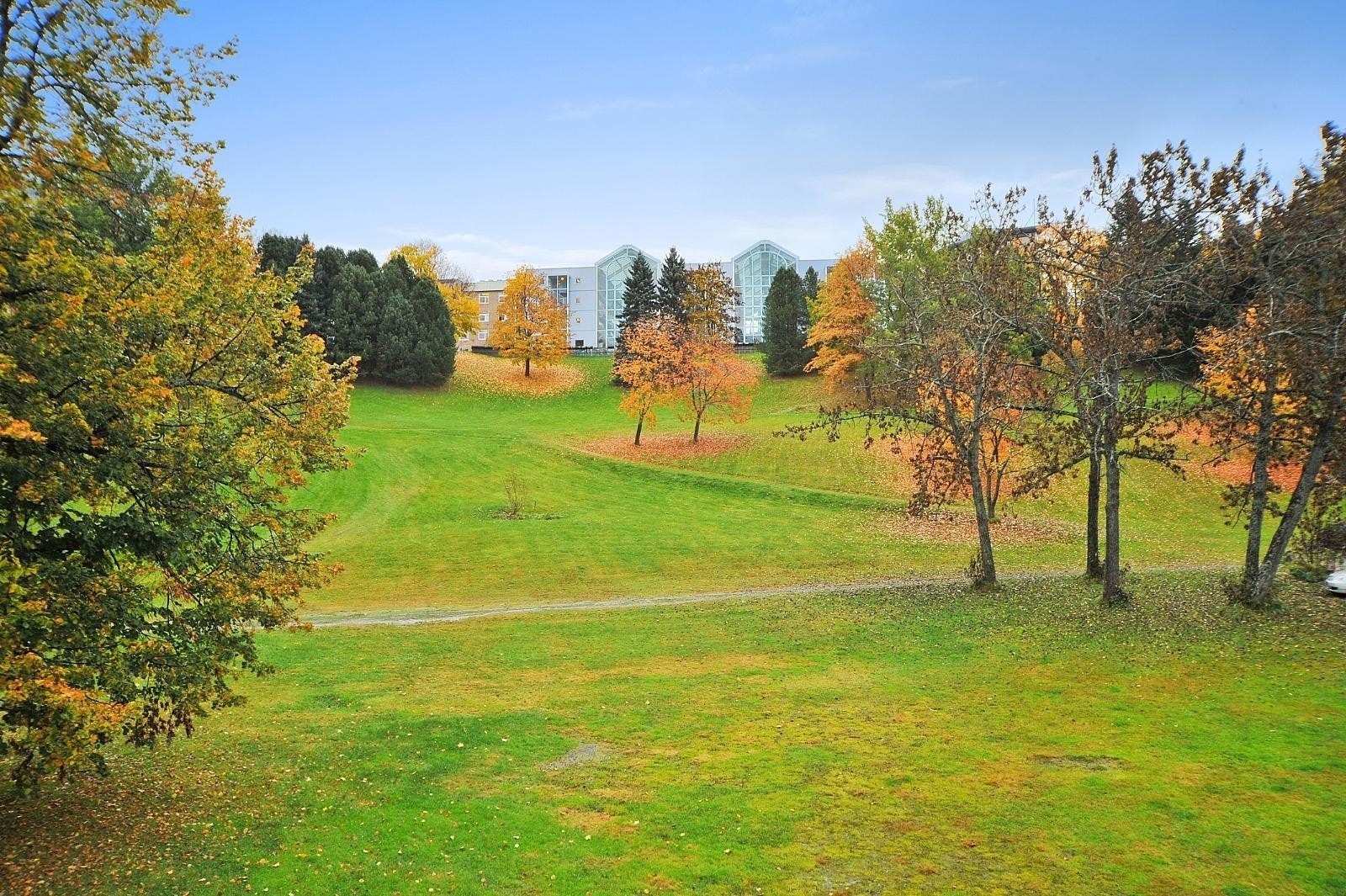 Høyskoleparken Galleribilde