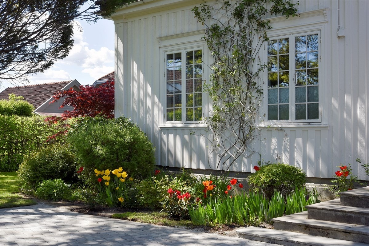 Vakre blomster i hagen. Galleribilde