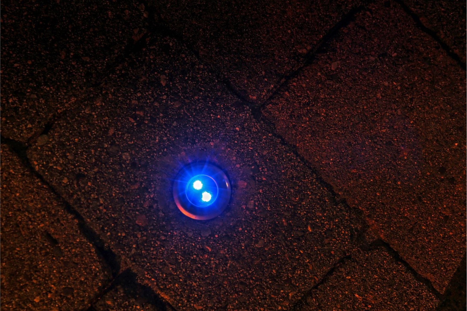 hage detalj (1) Galleribilde