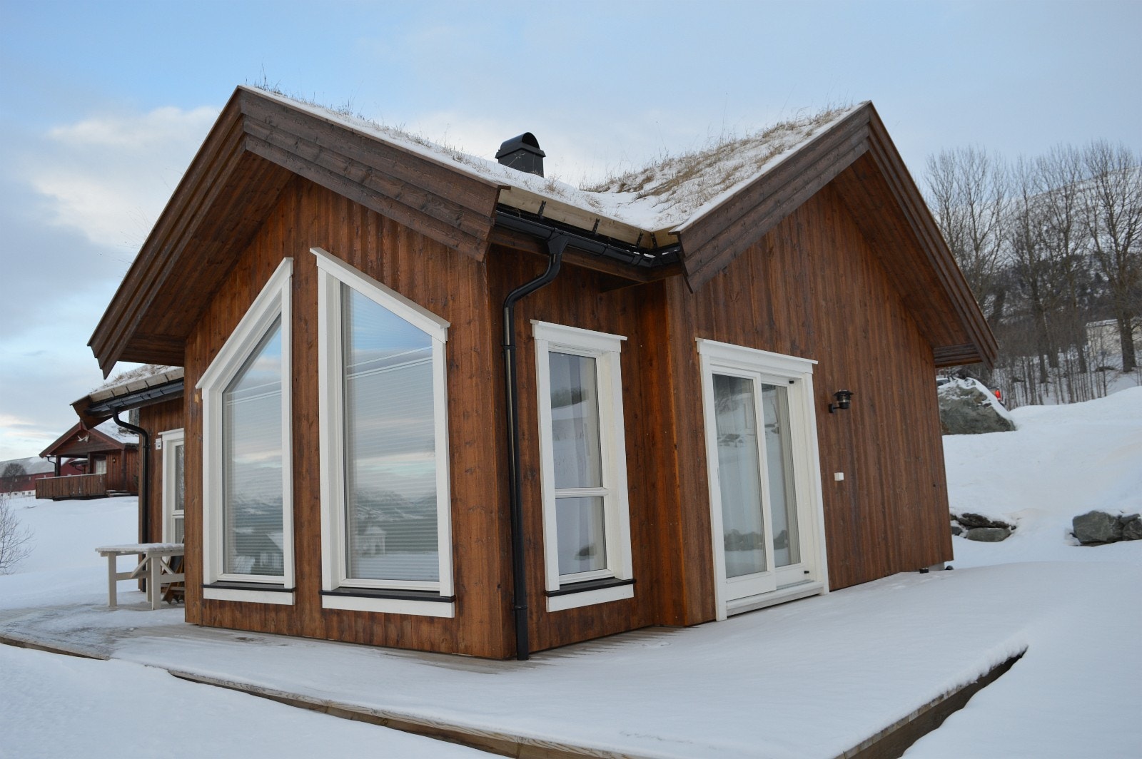 Illustrasjonsbilde 4, torvtak, vinter Galleribilde