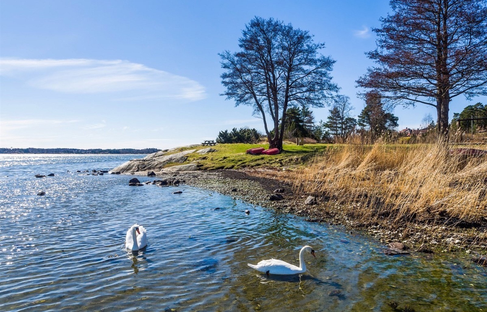 Badestrand med gjester Galleribilde