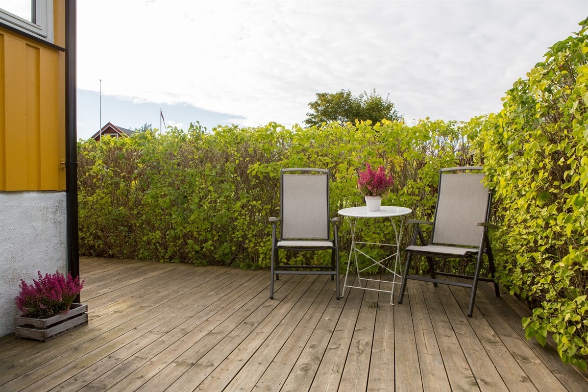 Terrassen med hekk og sittegruppe. Galleribilde