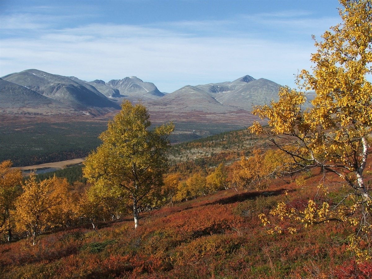 Høsten fra sin beste side..... Galleribilde