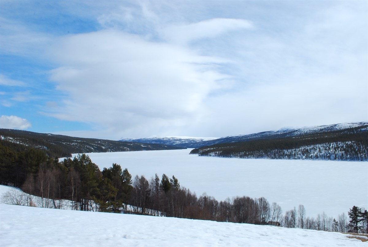 Nede ved Atnsjøen har eiendommen 2 båthus Galleribilde