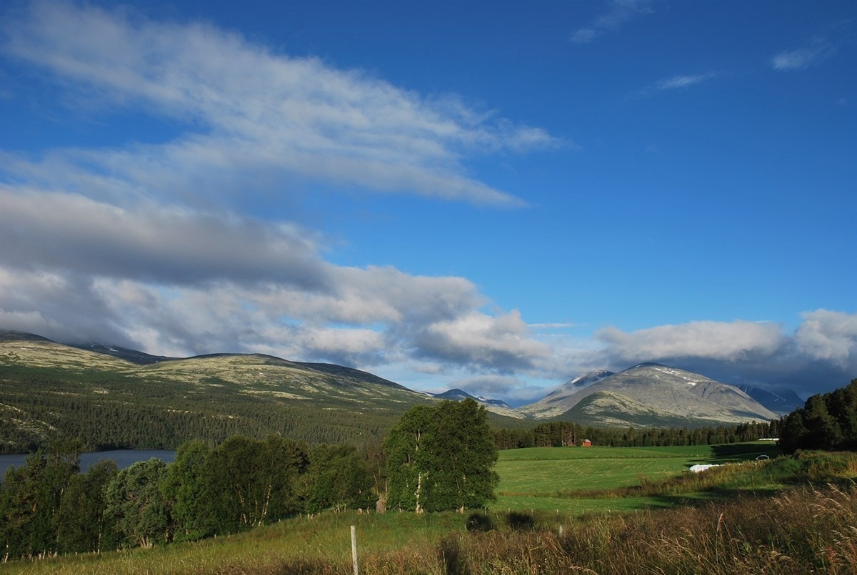 Utsikten mot Rondane Galleribilde