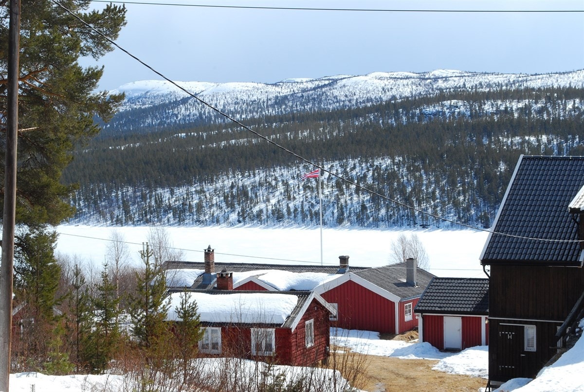 Tunet på Sørnesset Galleribilde