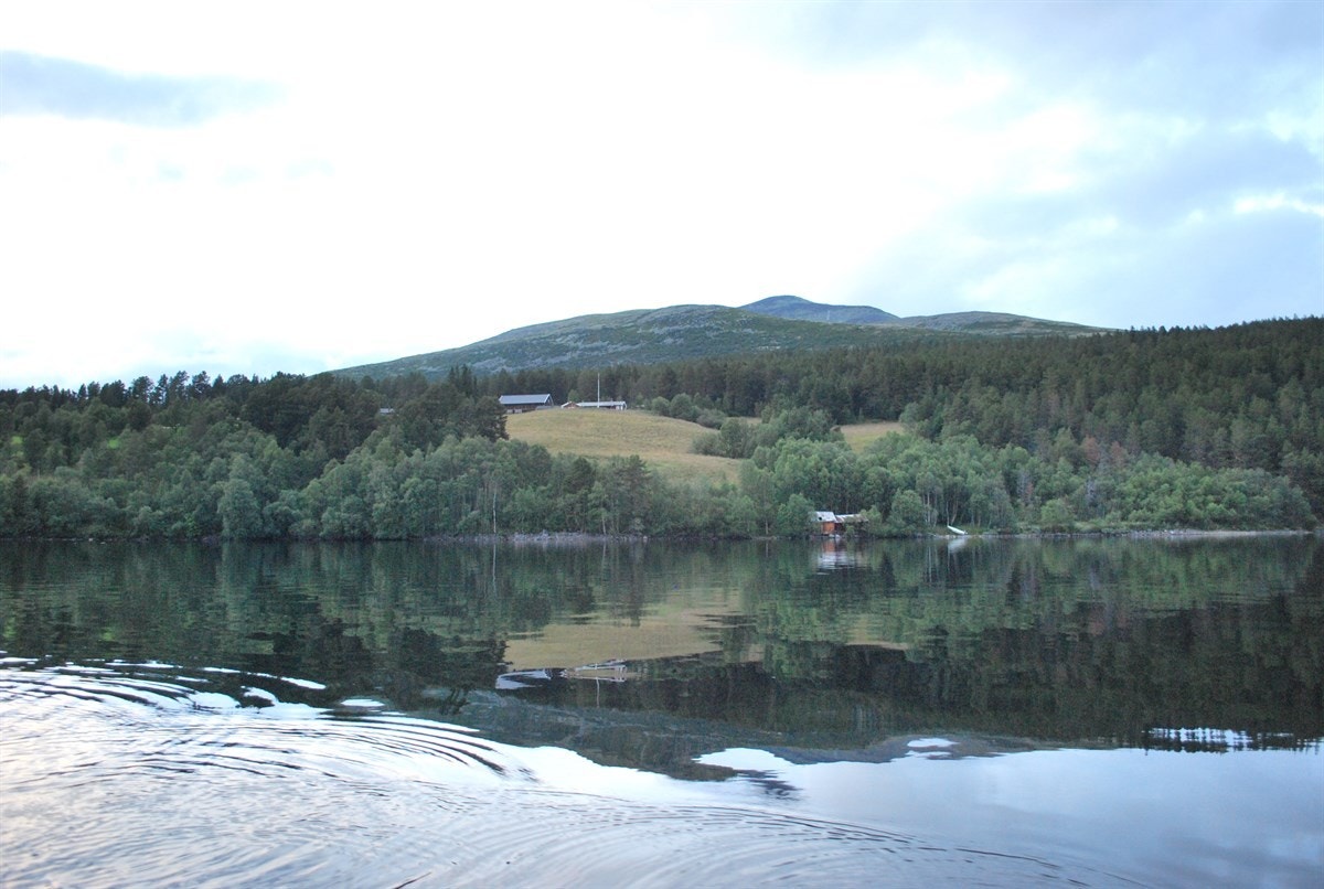 Sørnesset fra Atnsjøen Galleribilde