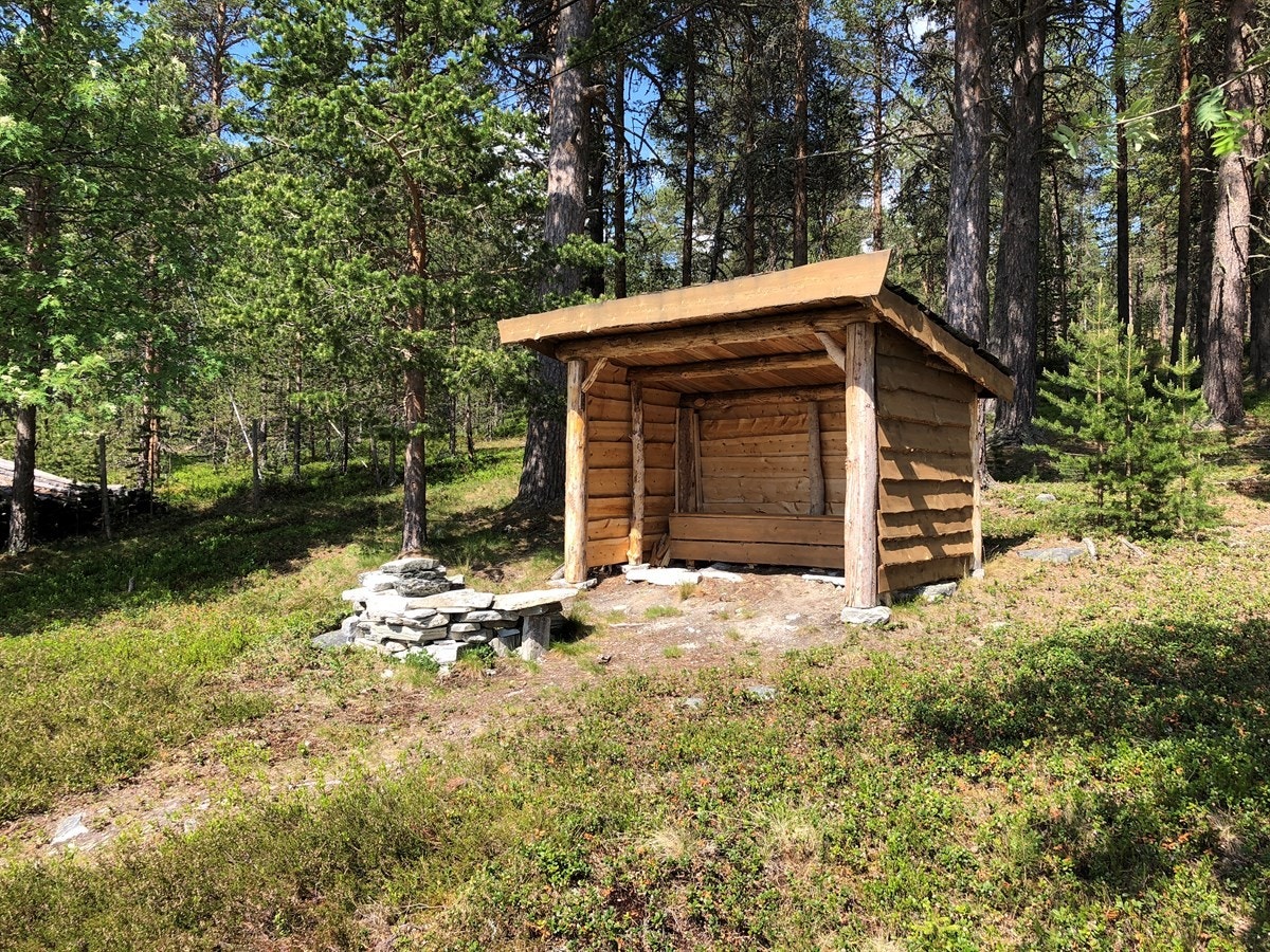 Grillplass Galleribilde