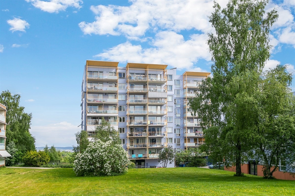 Flotte fellesarealer som er opparbeidet med internveier, gressplen og annen fin beplantning. Galleribilde