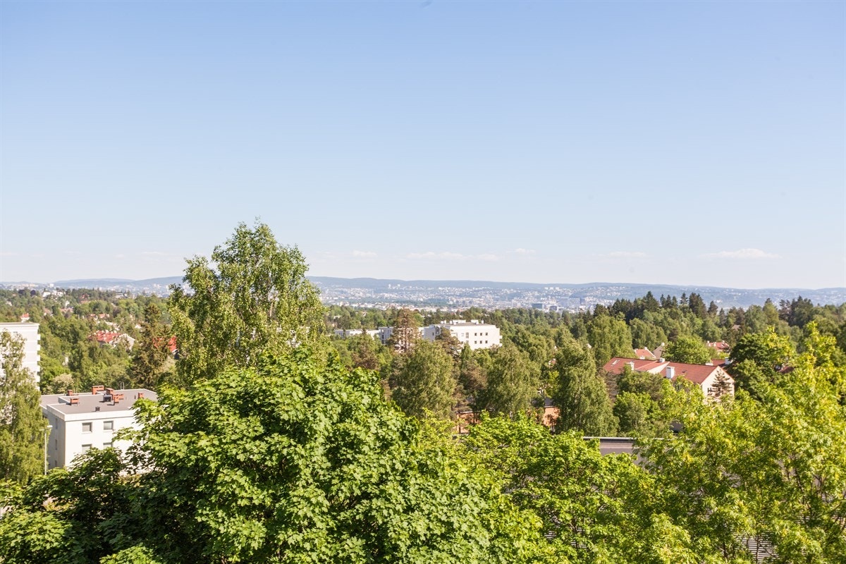 Fantastisk utsikt! Galleribilde